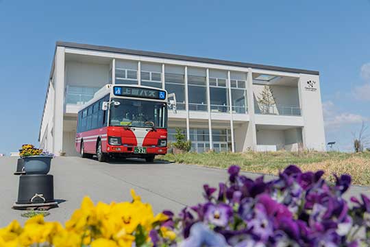 ��c�w�`�V���g�[������V�����o�q���C�i���[���s�� �^�s�J�n